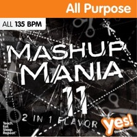 Mashup Mania 11 