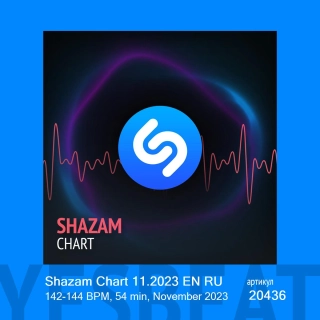 Shazam Chart 11.2023 EN RU