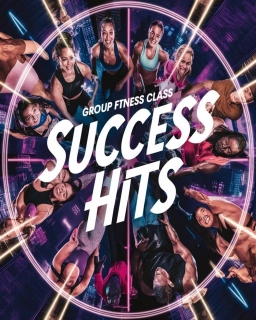 Success Hits 17 RU