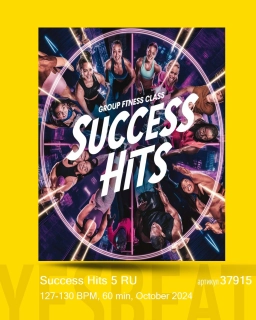 Success Hits 5 RU