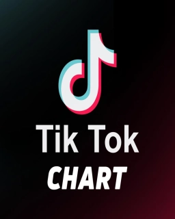 Tik Tok Chart 02.2025 EN