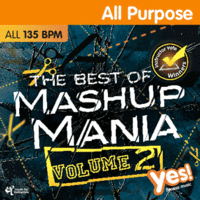 Best of Mashup Mania 2 