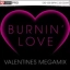 Burnin Love Valentines Megamix