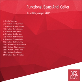 Functional Beats Andi Goller